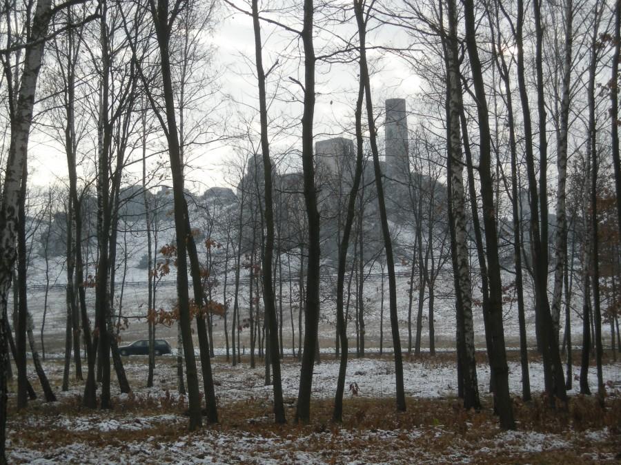 Zamek w Olsztynie