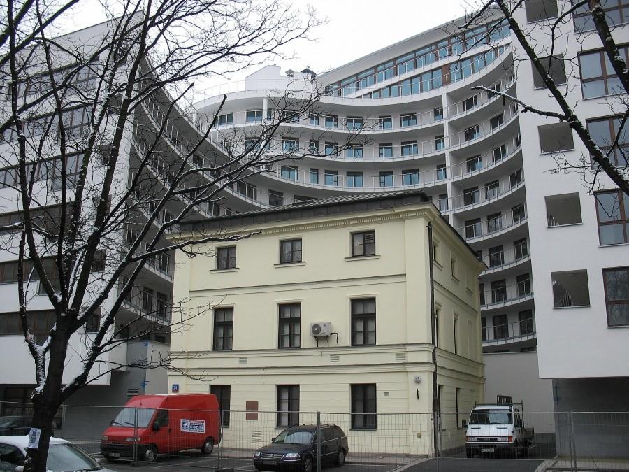 Szlachtuz solecki