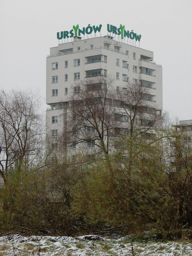 Kiedyś rosła tu kapucha