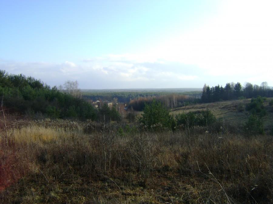 W oddali Zakościele
