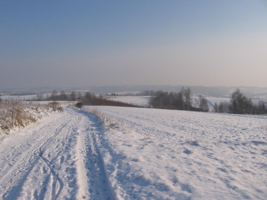 Między Bzianką a Woliczką