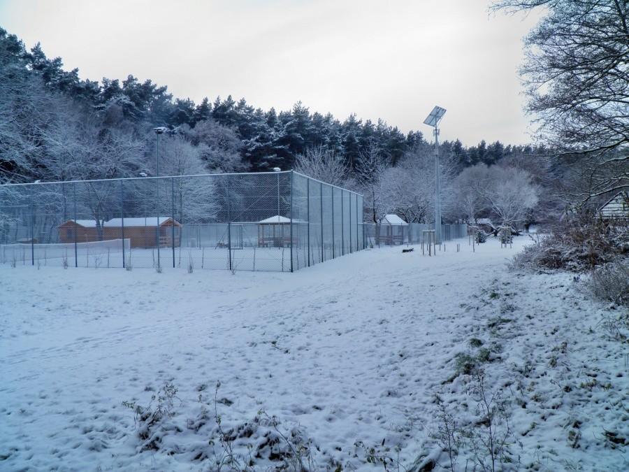 Polana sportowa w zimowej szacie - 8 grudnia 12 r.