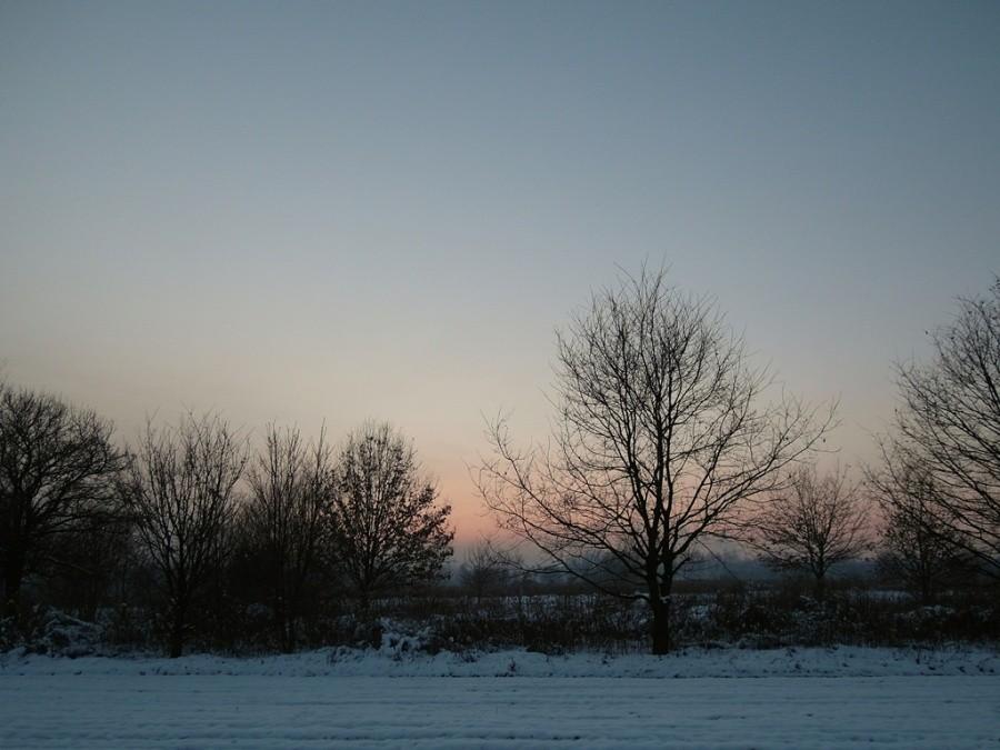 Las Lipie - Tarnów
