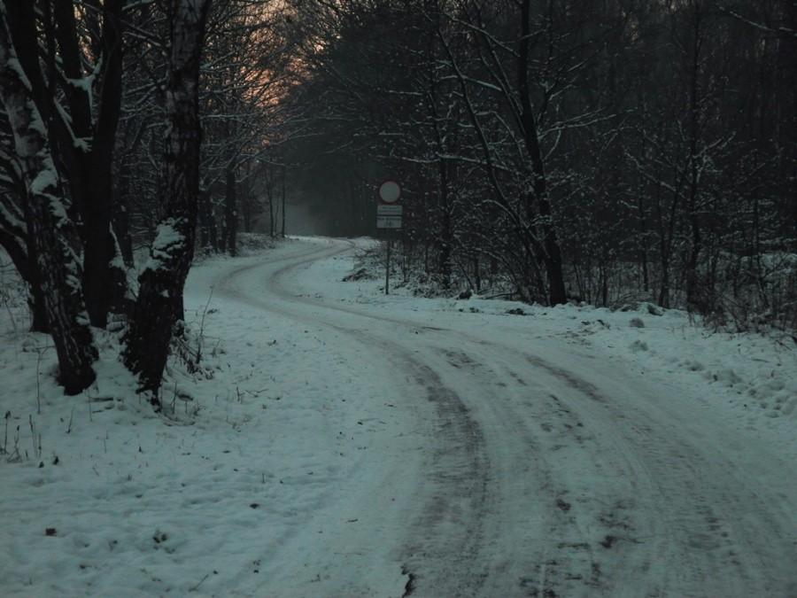 Las Lipie - Tarnów