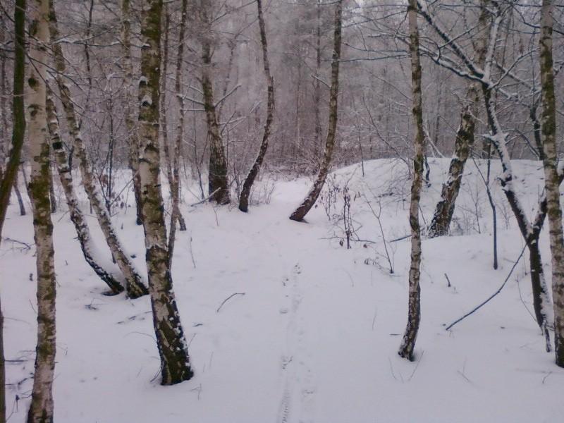 Singletrack na Brusie