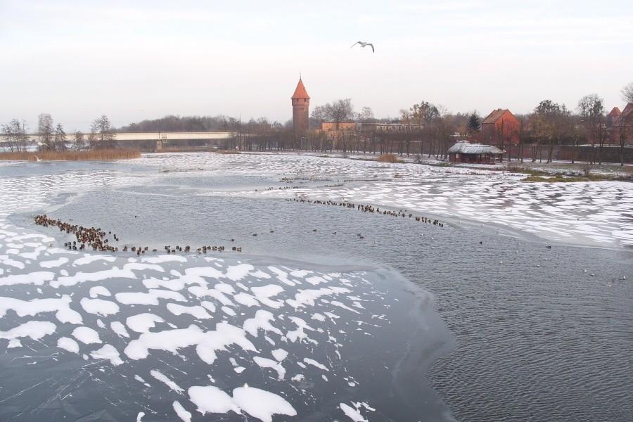 Zamarzający Nogat - Malbork