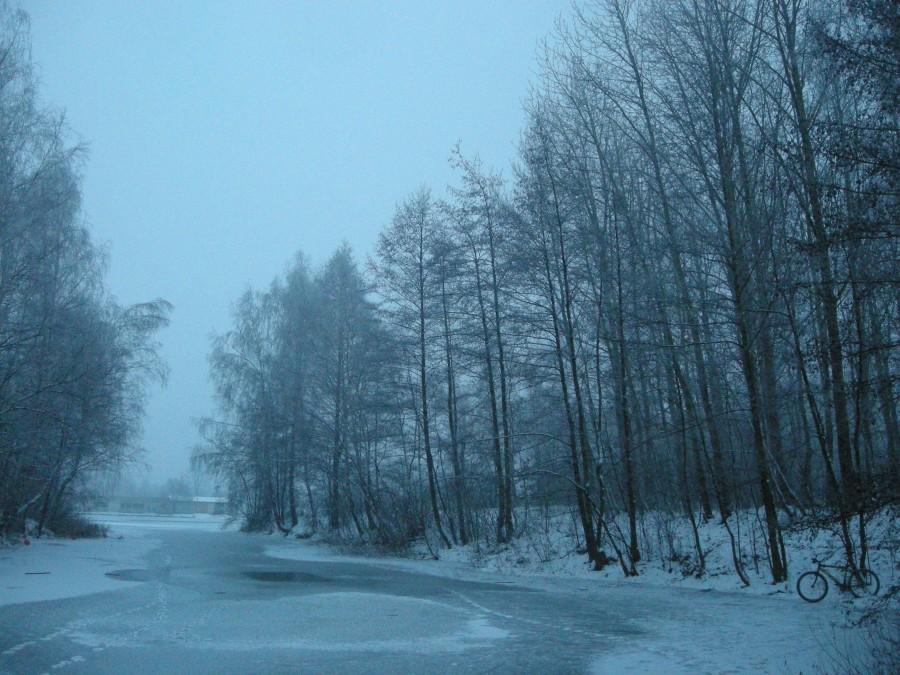 Morsowisko na Bałtyku