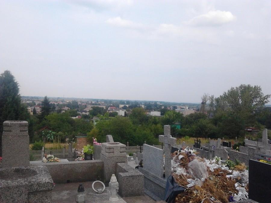 Panorama Warty