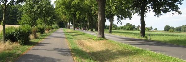 Niemiecka ścieżka rowerowa w okolicach Leopoldshagen