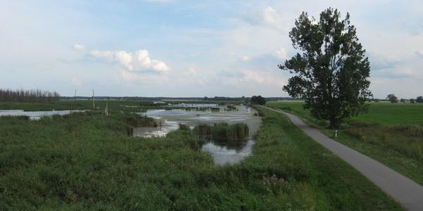 Rezerwat bagienny Bugewitz