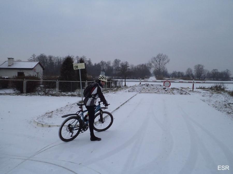 Rafi nad Nogatem w Kępinach Wielkich