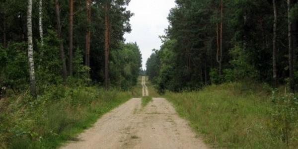 Puszcza Mielnicka