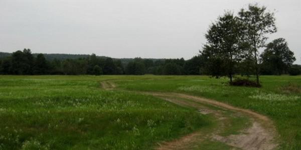 Kolonia Zabuże. Nadbużańskie łąki