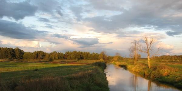 Widok z mostu w Styrzyńcu na dolinę rzeki Krzna