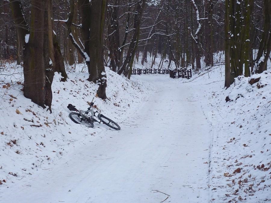 Nawierzchnia całkowicie ubita i wypolerowana przez spacerowiczów