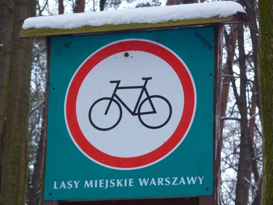 Pilnują lasu przed rowerystami, a oknem wchodzą im deweloperzy budujący swoje koszmarki.