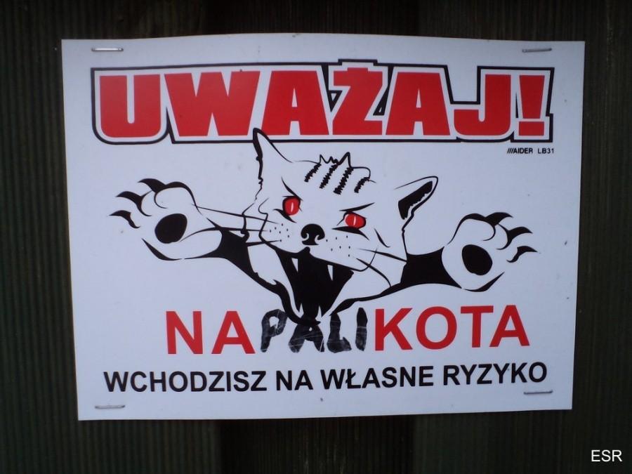 Uważaj na kota :-)
