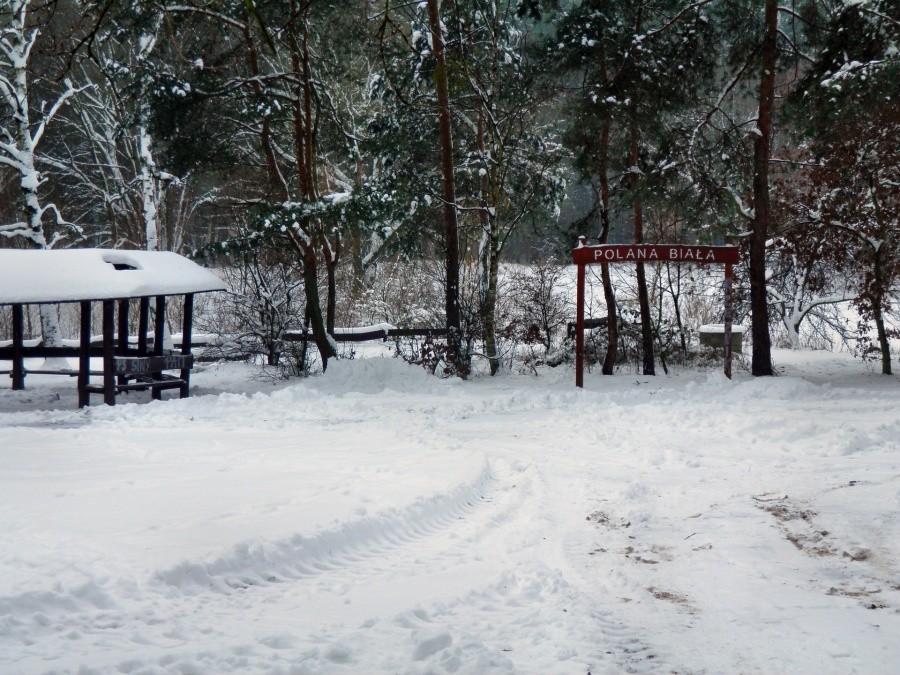 Polana Biała, tuż za leśniczówką o tej samej nazwie.