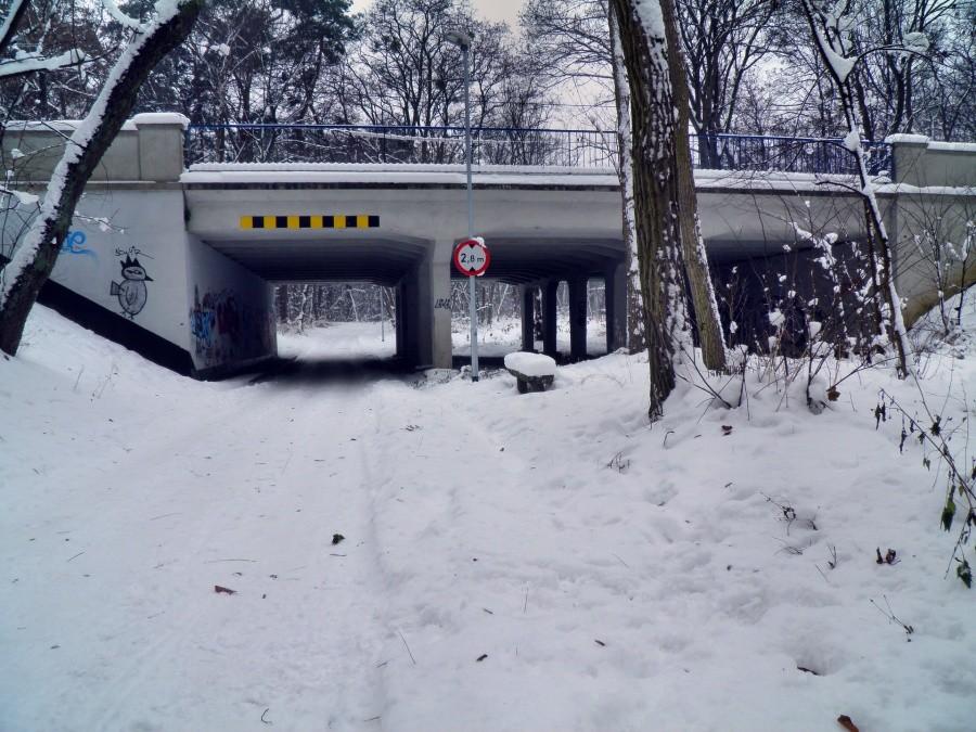 Wiadukt tuż przed kąpieliskiem Arkonka.