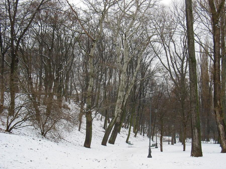 Park na Powiślu