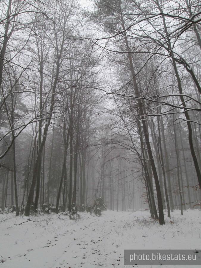 Jadąc do Kartuz