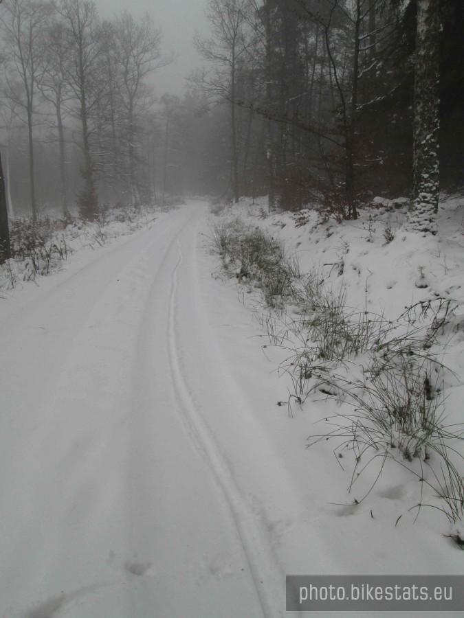 Leśną drogą do Kartuz