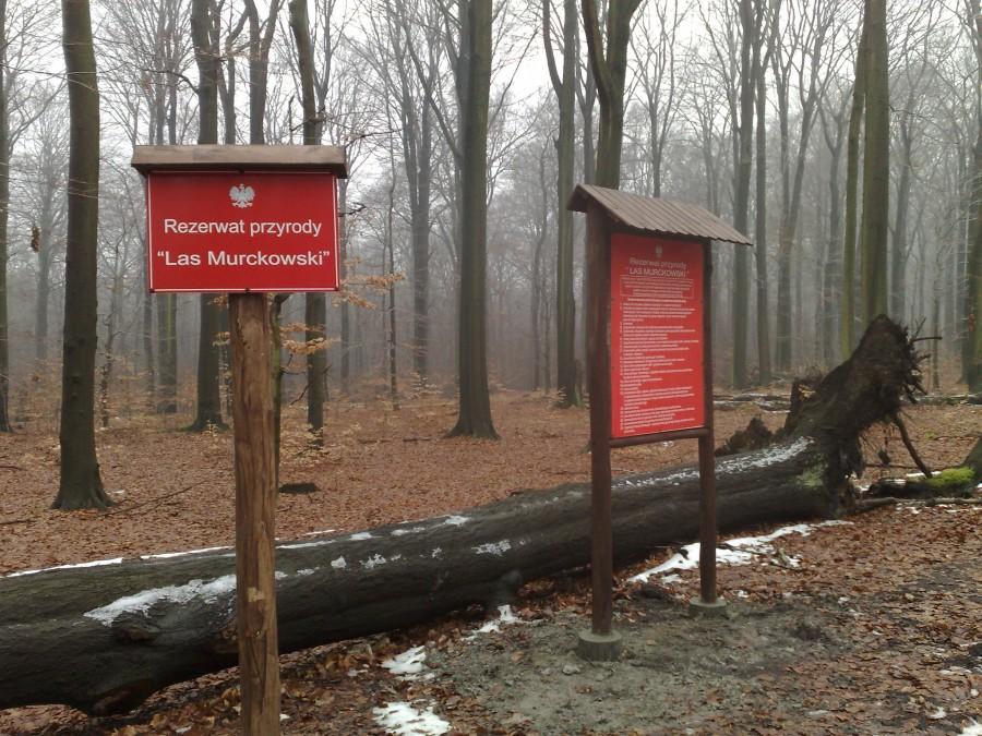 Las Murcki nowe oznakowanie