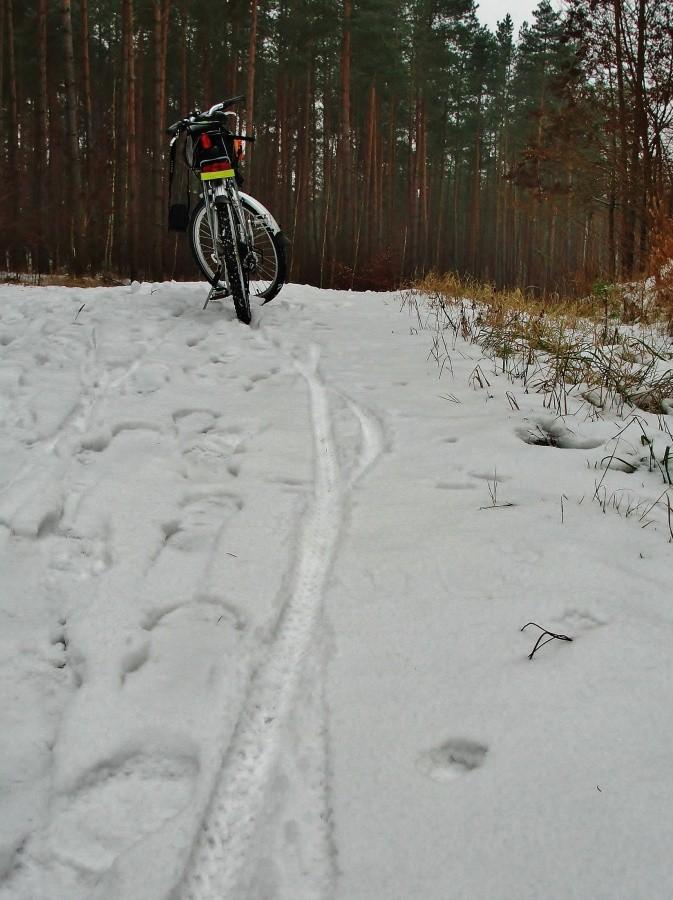 Ślady mojego roweru.