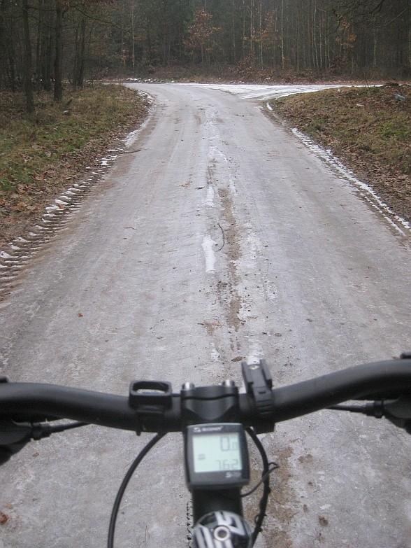 śliskie leśne drogi