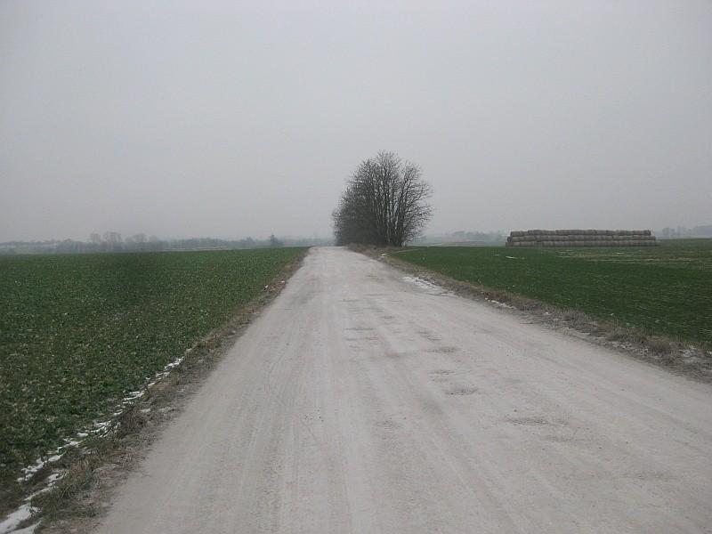 Droga z Uzarzewa do Sarbinowa jest biała, ale nie od śniegu.