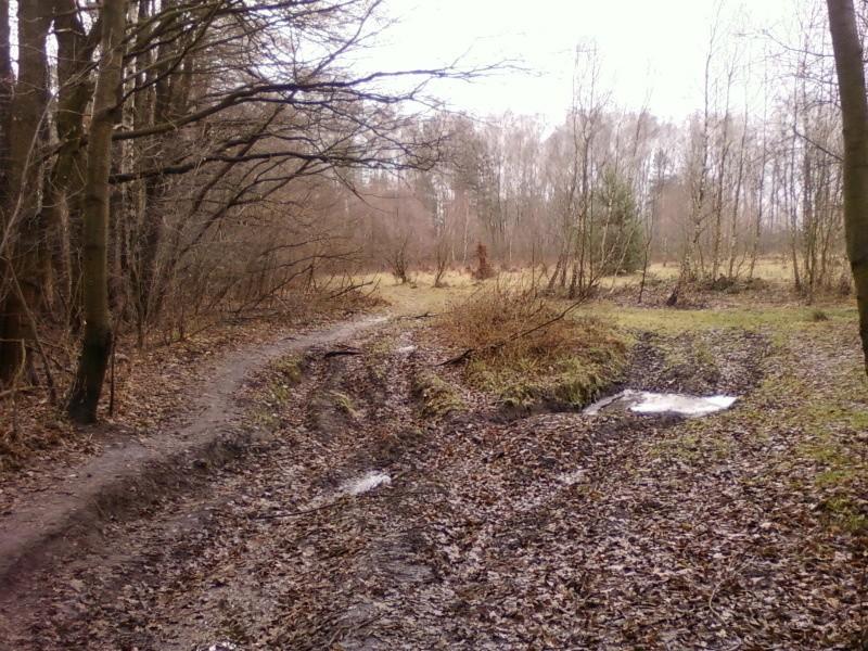 Ślady zmagań traktorzysty z terenem