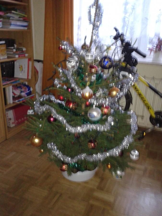 Rower na honorowym miejscu za choinką