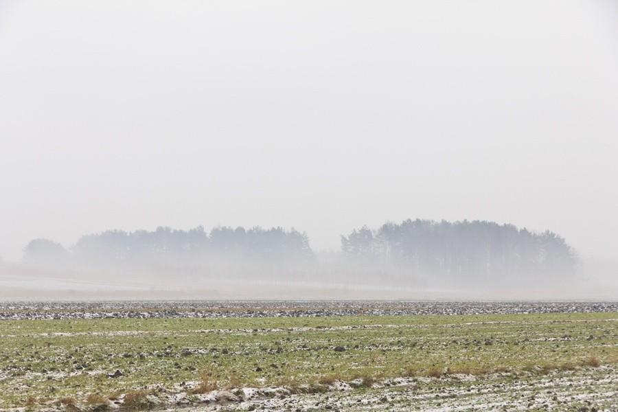Mgła na polach
