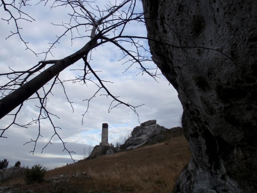 Zamek w Olsztynie