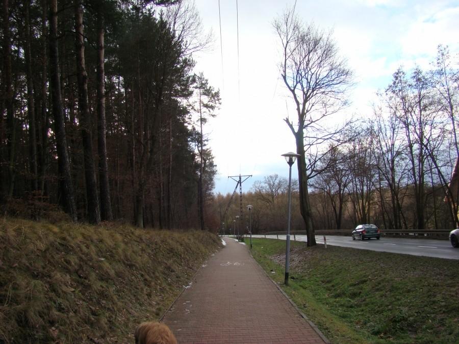 Zimowa wycieczka do Trzebieży 1