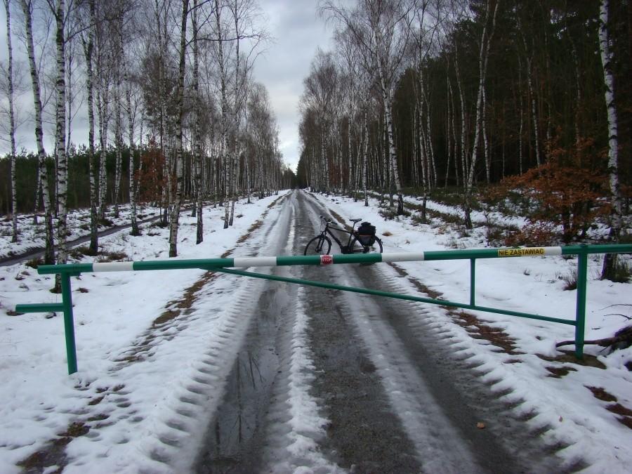 Zimowa wycieczka do Trzebieży 9