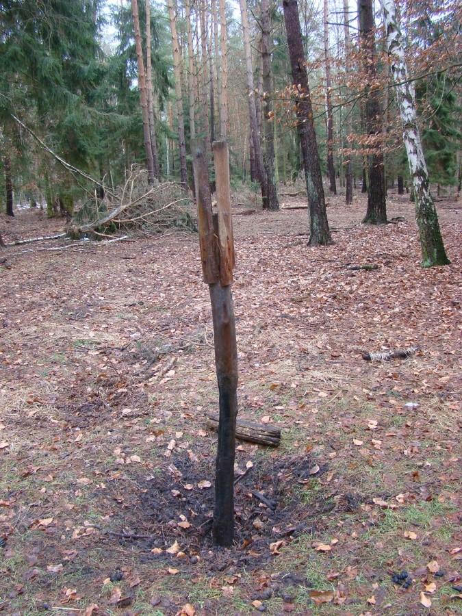 Zimowa wycieczka do Trzebieży 20