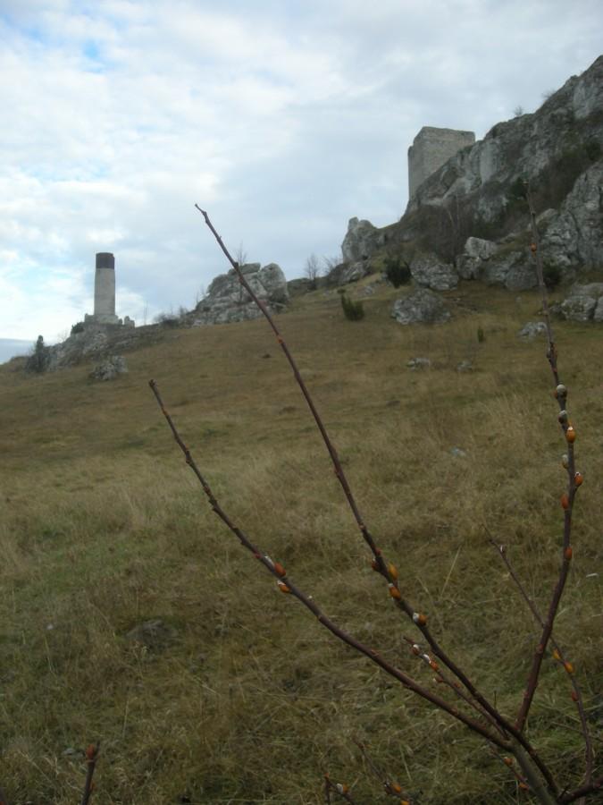 Bazie w grudniu?!