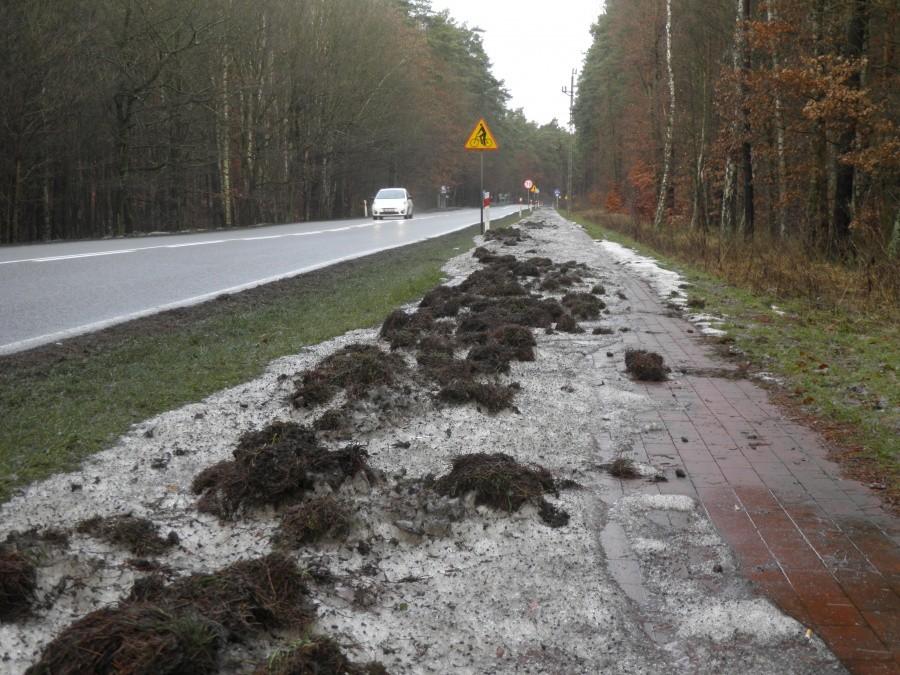 Tak 27 grudnia 12 r. wyglądała ścieżka rowerowa pod Tanowem.