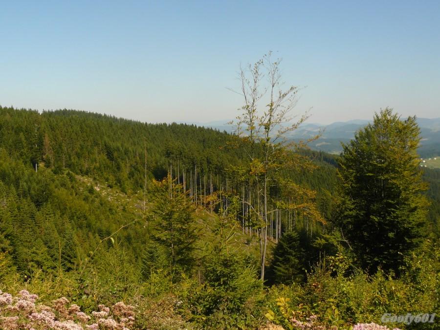 Zbocza Skałki.