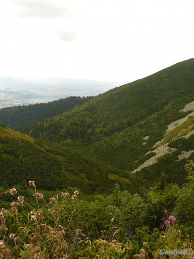 Zbocza Krivania