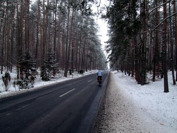 Większość trasy wyglądała jak na zdjęciu - las i czarny asfalt