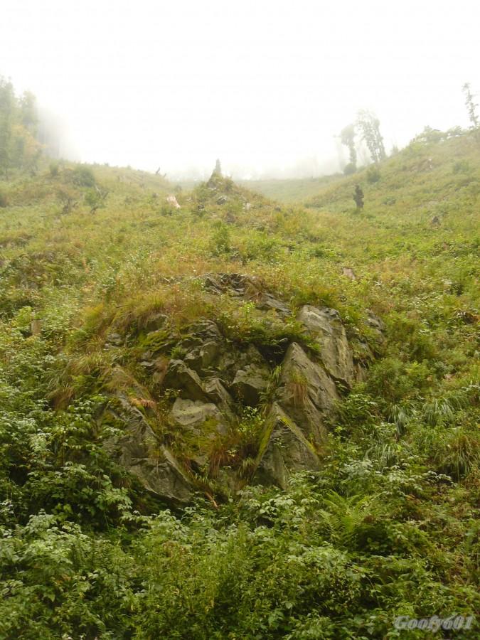 Strome zbocza.