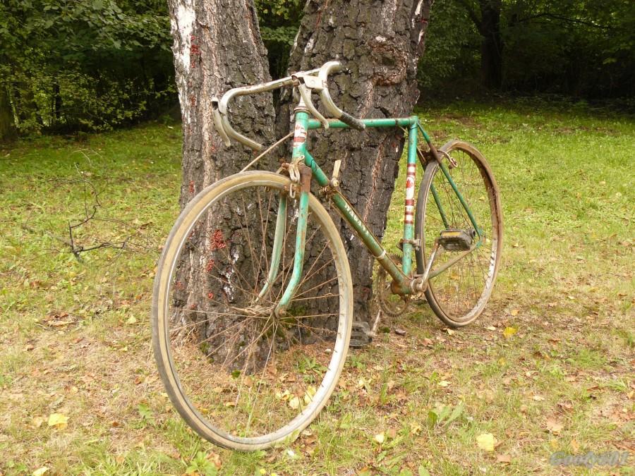 Wagant Sport