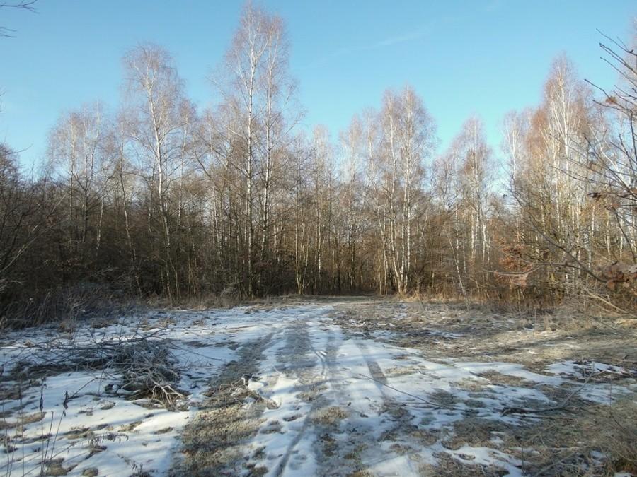Resztki śniegu