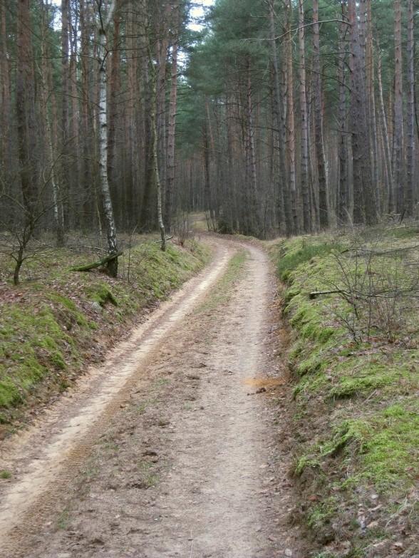 Dębogóra - Zielonka