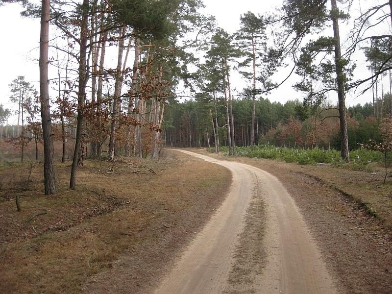 Czernice - Zielonka