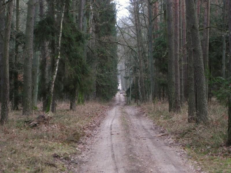 tam w oddali, na środku stoi daniel
