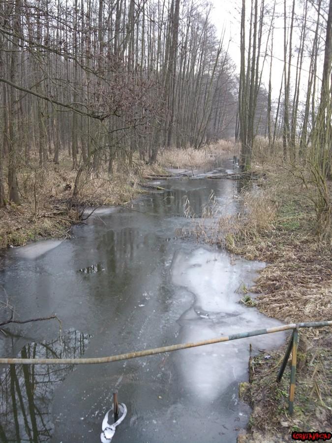 Zimą przyroda jest surowa, ale mi się to podoba