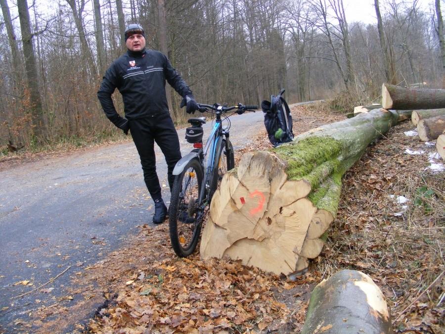 Park Wysoczyzna Elbląska